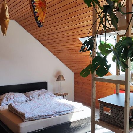 Big Cozy Entire Family Appartment Hanovra Exterior foto